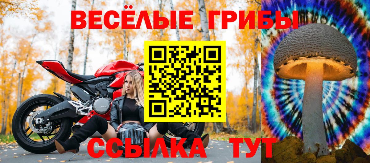 Галлюциногенные грибы MAGIC MUSHROOMS  Вход с VPN  Славгород  Псилоцибиновые грибы GOLDEN TEACHER 