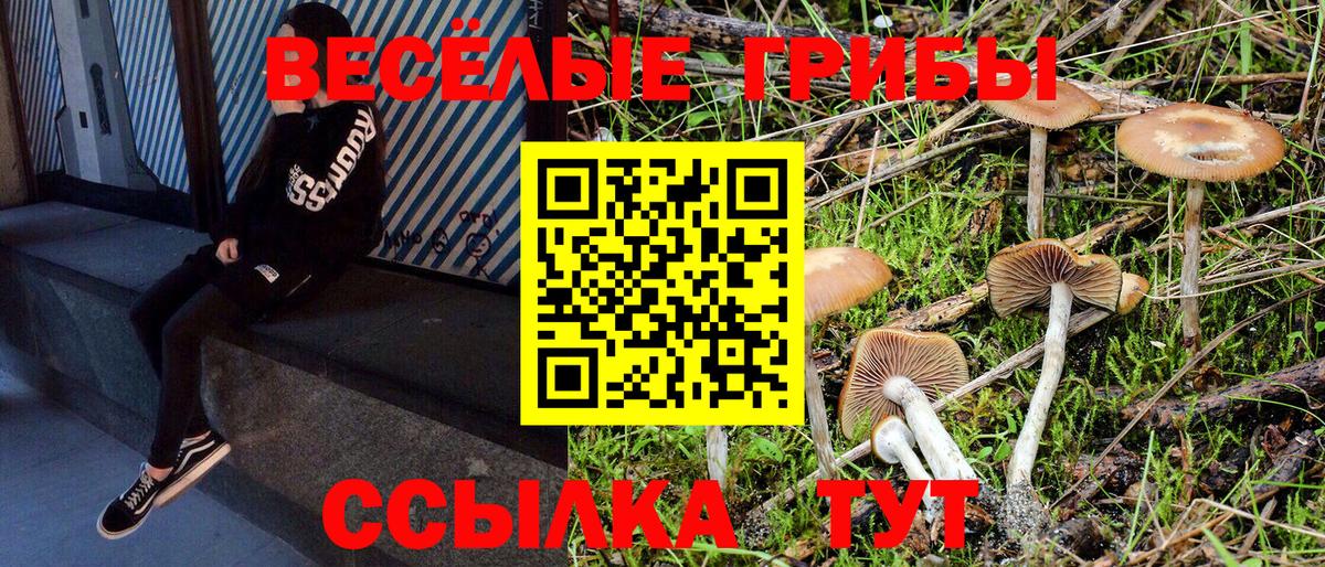 Галлюциногенные грибы GOLDEN TEACHER Славгород